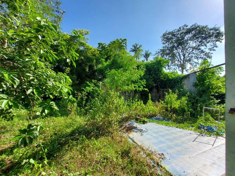 ใช่ 💖 บ้าน โพนพิสัย ราคาพิเศษ! 💖 รูปที่ 4