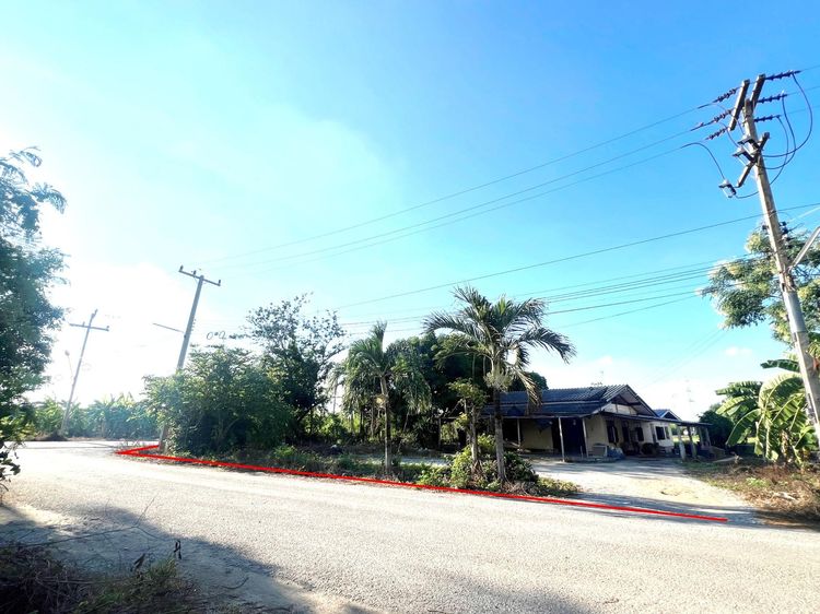 ใช่ 💖 บ้าน กำแพงแสน ราคาพิเศษ! 💖 รูปที่ 2