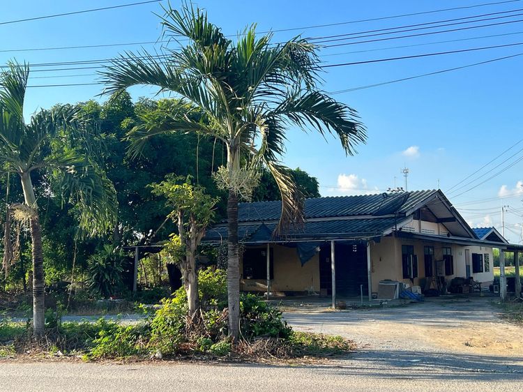 ใช่ 💖 บ้าน กำแพงแสน ราคาพิเศษ! 💖 รูปที่ 3