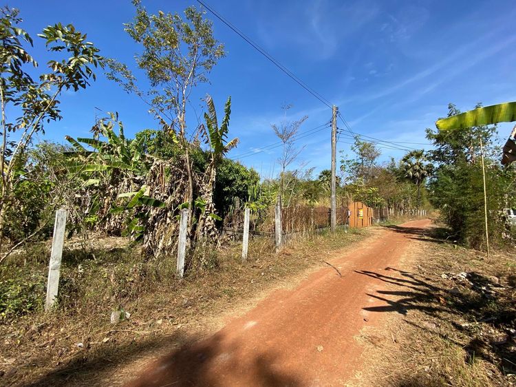 ใช่ 💖 บ้าน ธาตุพนม ราคาพิเศษ! 💖 รูปที่ 3