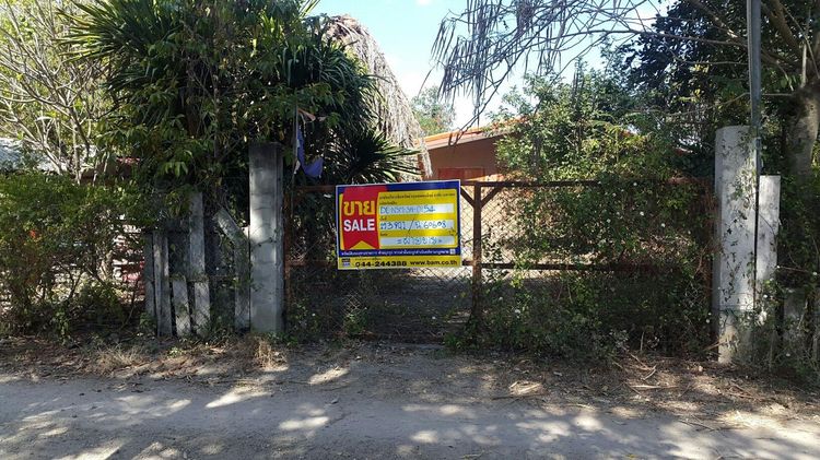 💖 บ้าน ปากช่อง ราคาพิเศษ! 💖