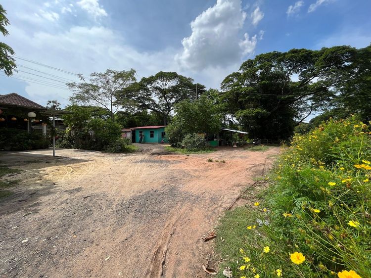 ใช่ 💖 บ้าน โชคชัย ราคาพิเศษ! 💖 รูปที่ 2