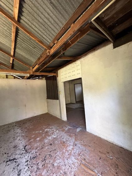 ใช่ 💖 บ้าน ขามสะแกแสง ราคาพิเศษ! 💖 รูปที่ 3