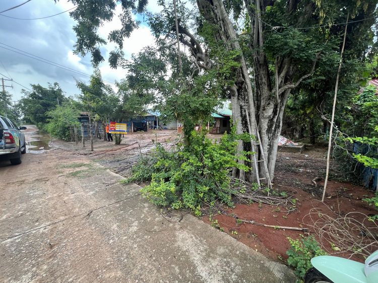 ใช่ 💖 บ้าน โนนสูง ราคาพิเศษ! 💖 รูปที่ 3