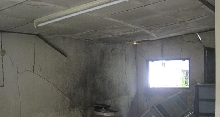 ใช่ 💖 บ้าน เมืองพัทลุง ราคาพิเศษ! 💖 รูปที่ 4