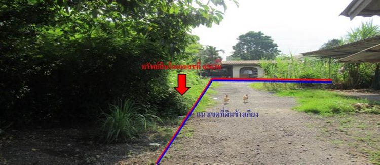 ใช่ 💖 บ้าน เมืองพัทลุง ราคาพิเศษ! 💖 รูปที่ 3