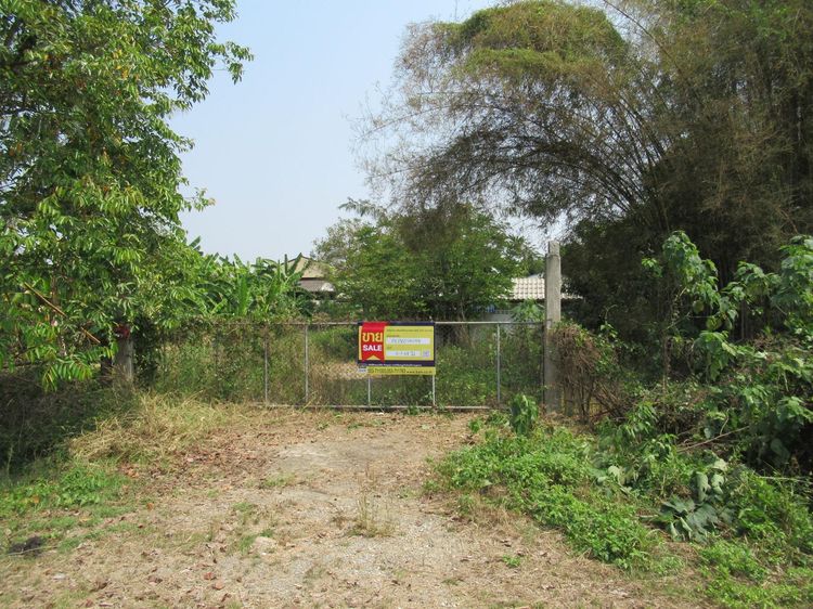 ใช่ 💖 บ้าน เชียงคำ ราคาพิเศษ! 💖