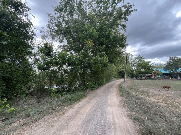 ใช่ 💖 บ้าน จอมบึง ราคาพิเศษ! 💖 รูปที่ 3