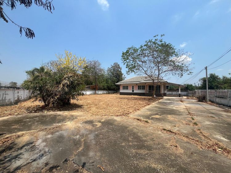 āđāļāđ ð āļāđāļēāļ āđāļĄāļ·āļāļāļĢāļēāļāļāļļāļĢāļĩ āļĢāļēāļāļēāļāļīāđāļĻāļĐ! ð āļĢāļđāļāļāļĩāđ 3