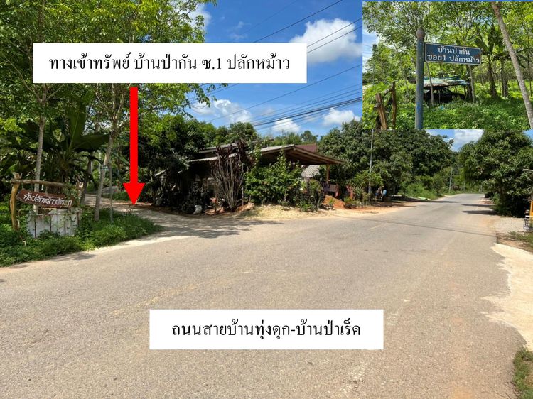 ใช่ 💖 บ้าน นาทวี ราคาพิเศษ! 💖 รูปที่ 2