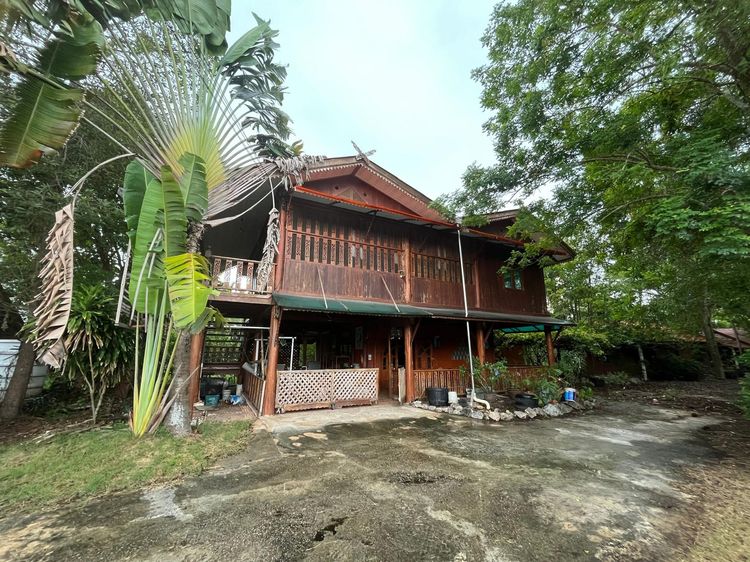 ใช่ 💖 บ้าน อัมพวา ราคาพิเศษ! 💖 รูปที่ 4