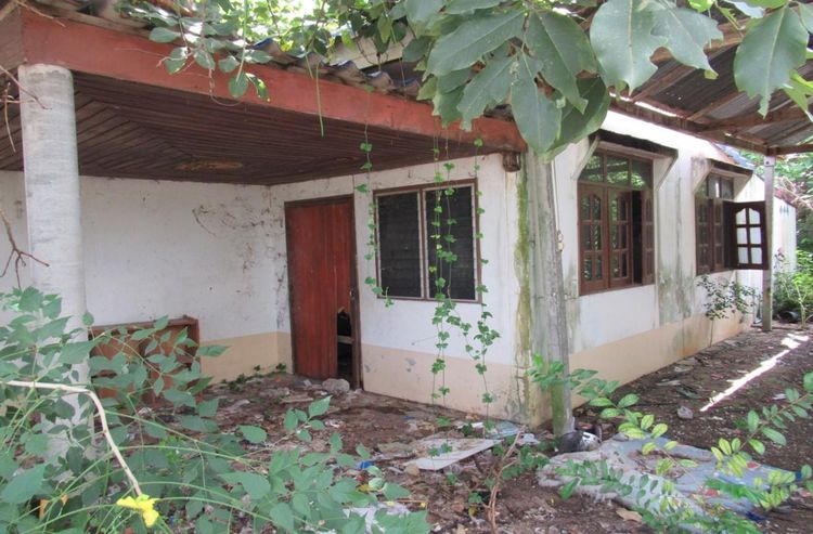 ใช่ 💖 บ้าน สังขะ ราคาพิเศษ! 💖 รูปที่ 4