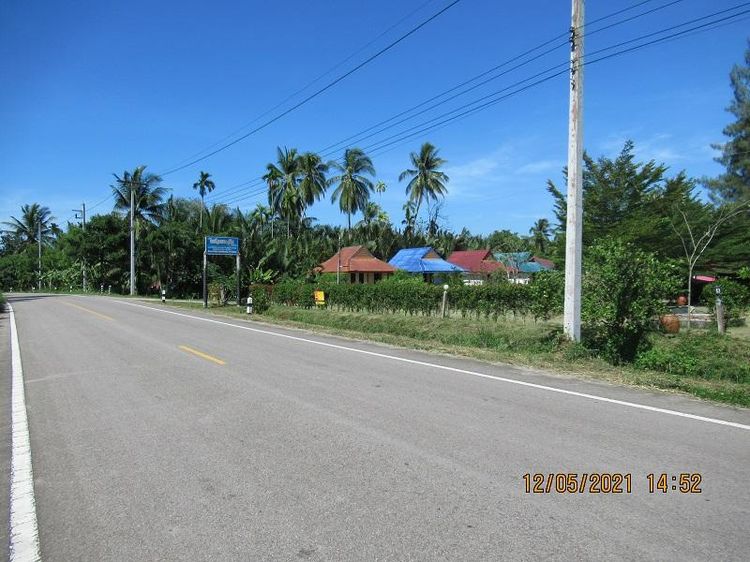 ใช่ 💖 บ้าน เมืองสุราษฎร์ธานี ราคาพิเศษ! 💖 รูปที่ 2