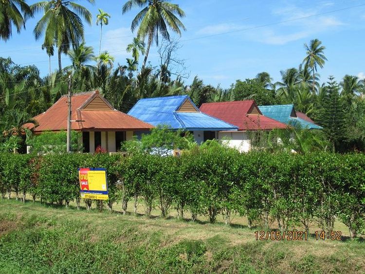 ใช่ 💖 บ้าน เมืองสุราษฎร์ธานี ราคาพิเศษ! 💖 รูปที่ 4