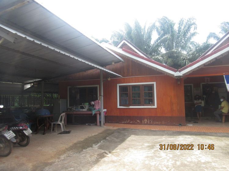 ใช่ 💖 บ้าน เมืองสุราษฎร์ธานี ราคาพิเศษ! 💖 รูปที่ 3