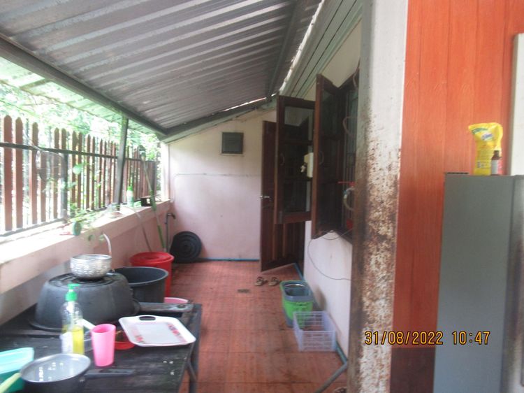 ใช่ 💖 บ้าน เมืองสุราษฎร์ธานี ราคาพิเศษ! 💖 รูปที่ 4