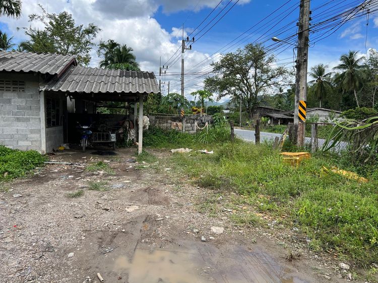 ใช่ 💖 บ้าน ควนกาหลง ราคาพิเศษ! 💖 รูปที่ 3