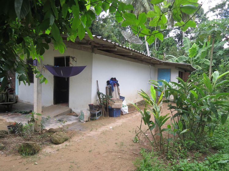 ใช่ 💖 บ้าน ย่านตาขาว ราคาพิเศษ! 💖 รูปที่ 3