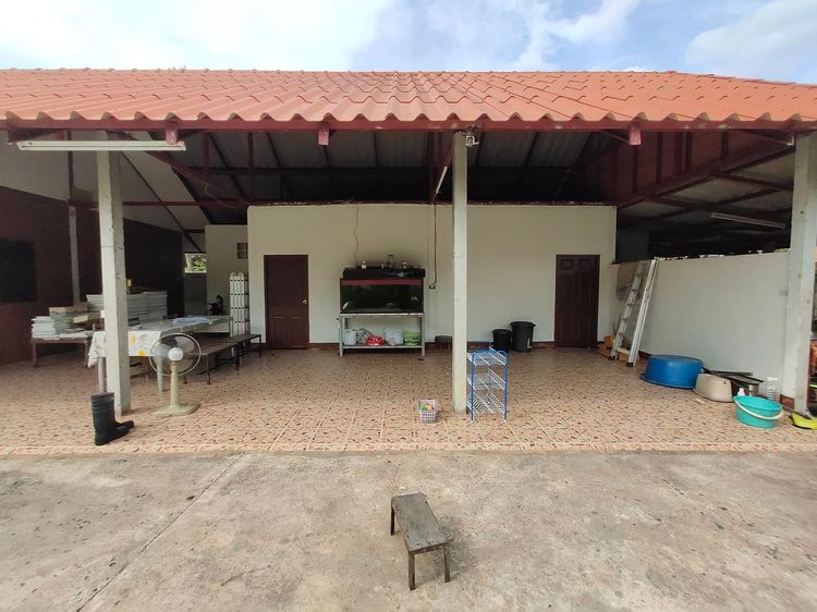 ใช่ 💖 บ้าน เมืองอุบลราชธานี ราคาพิเศษ! 💖 รูปที่ 4