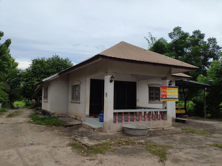 ใช่ 💖 บ้าน บ้านผือ ราคาพิเศษ! 💖 รูปที่ 3