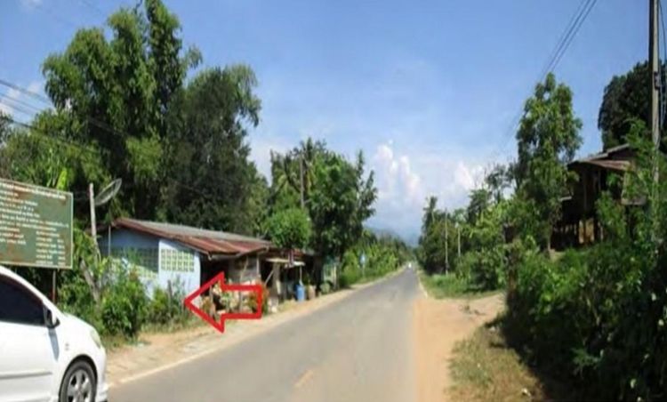 ใช่ 💖 บ้าน ท่าปลา ราคาพิเศษ! 💖 รูปที่ 2