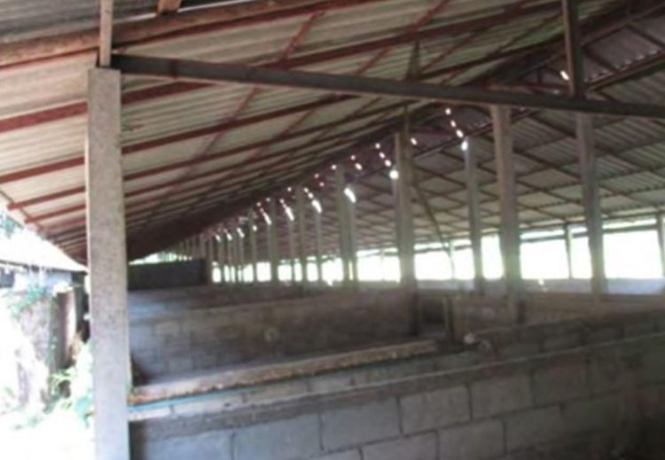 ใช่ 💖 บ้าน ท่าปลา ราคาพิเศษ! 💖 รูปที่ 4