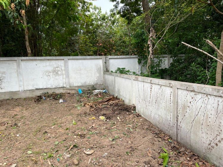 ใช่ 💖 บ้าน นิคมพัฒนา ราคาพิเศษ! 💖 รูปที่ 3