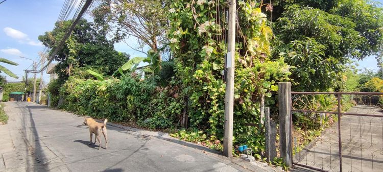 ใช่ 💖 บ้าน ราษฎร์บูรณะ ราคาพิเศษ! 💖 รูปที่ 4