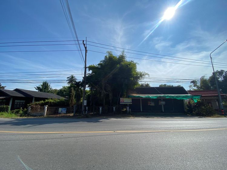 💖 บ้าน ป่าซาง ราคาพิเศษ! 💖