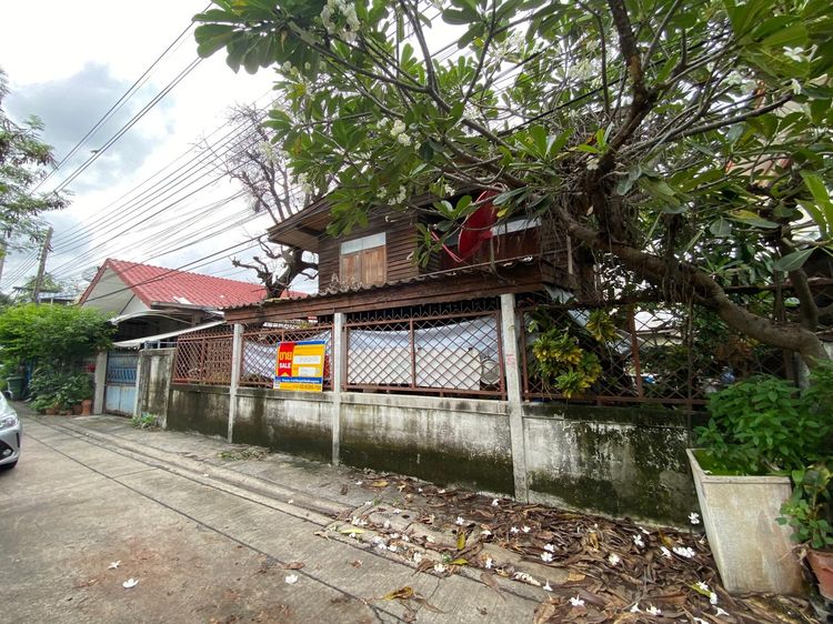 āđāļāđ ð āļāđāļēāļ āļāļēāļāļāļ°āļāļī āļĢāļēāļāļēāļāļīāđāļĻāļĐ! ð āļĢāļđāļāļāļĩāđ 3