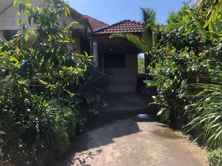 ใช่ 💖 บ้าน ตาคลี ราคาพิเศษ! 💖 รูปที่ 3