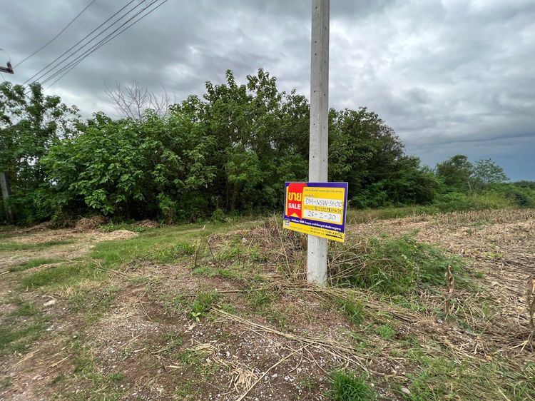 ใช่ 💖 บ้าน ตาคลี ราคาพิเศษ! 💖 รูปที่ 2