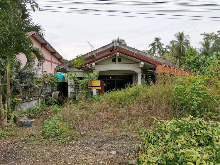 ใช่ 💖 บ้าน เขาพนม ราคาพิเศษ! 💖 รูปที่ 2