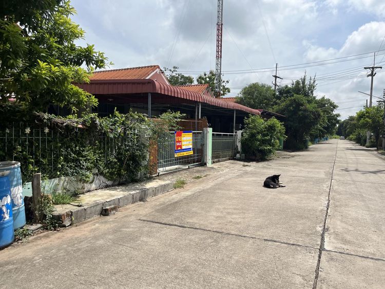 ใช่ 💖 บ้าน เมืองนครราชสีมา ราคาพิเศษ! 💖 รูปที่ 2