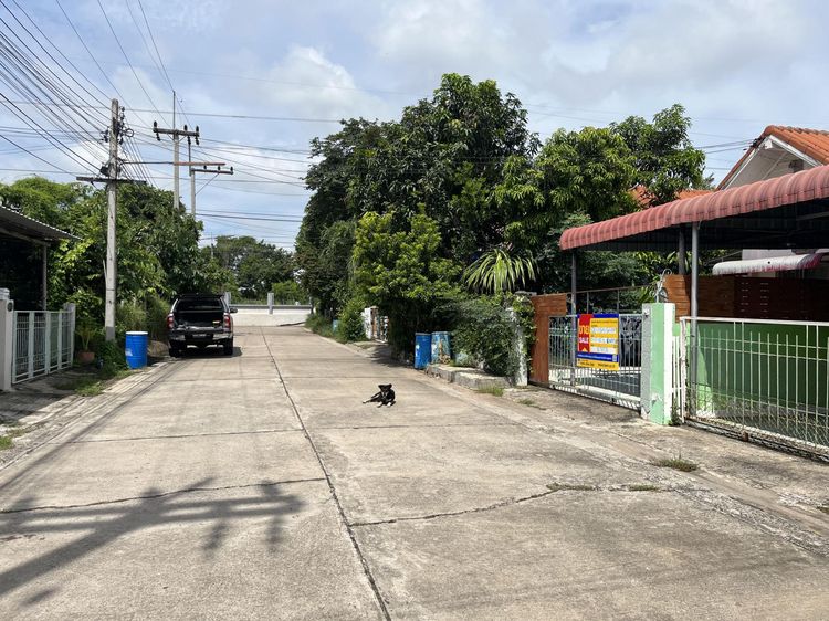 ใช่ 💖 บ้าน เมืองนครราชสีมา ราคาพิเศษ! 💖 รูปที่ 3