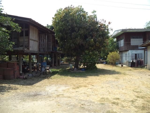 ใช่ 💖 บ้าน แม่ริม ราคาพิเศษ! 💖 รูปที่ 2