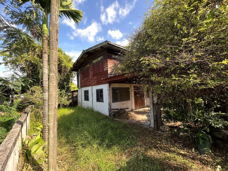 ใช่ 💖 บ้าน หนองเรือ ราคาพิเศษ! 💖 รูปที่ 4