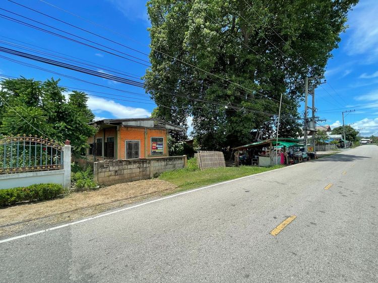 ใช่ 💖 บ้าน ป่าซาง ราคาพิเศษ! 💖 รูปที่ 2