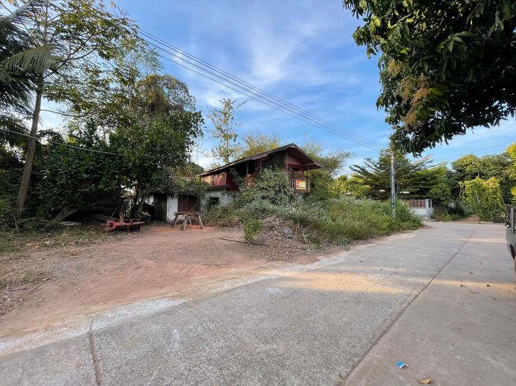 āđāļāđ ð āļāđāļēāļ āđāļĄāļ·āļāļāļŦāļāļāļāļāļąāļ§āļĨāļģāļ āļđ āļĢāļēāļāļēāļāļīāđāļĻāļĐ! ð āļĢāļđāļāļāļĩāđ 3