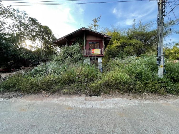 💖 บ้าน เมืองหนองบัวลำภู ราคาพิเศษ! 💖