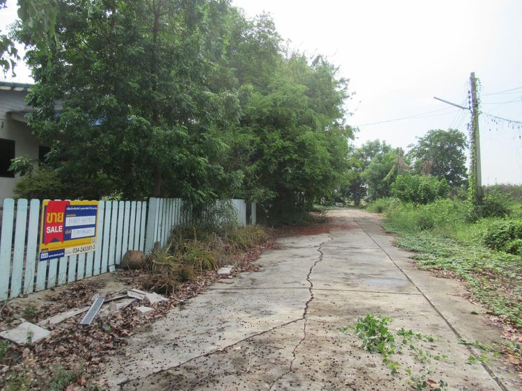 ใช่ 💖 บ้าน บางเลน ราคาพิเศษ! 💖 รูปที่ 4