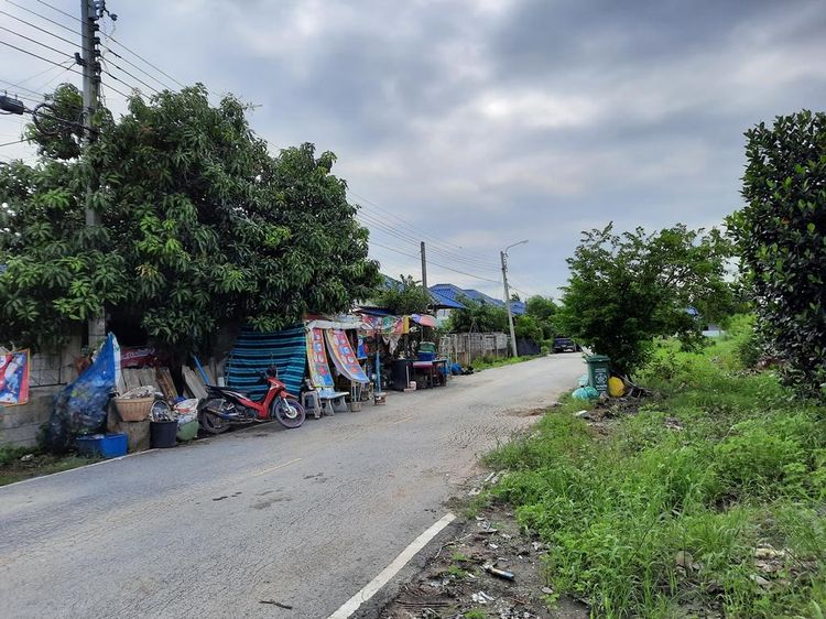 ใช่ 💖 บ้าน ไทรน้อย ราคาพิเศษ! 💖 รูปที่ 2