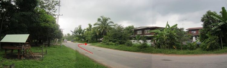 💖 บ้าน ปักธงชัย ราคาพิเศษ! 💖 รูปที่ 3