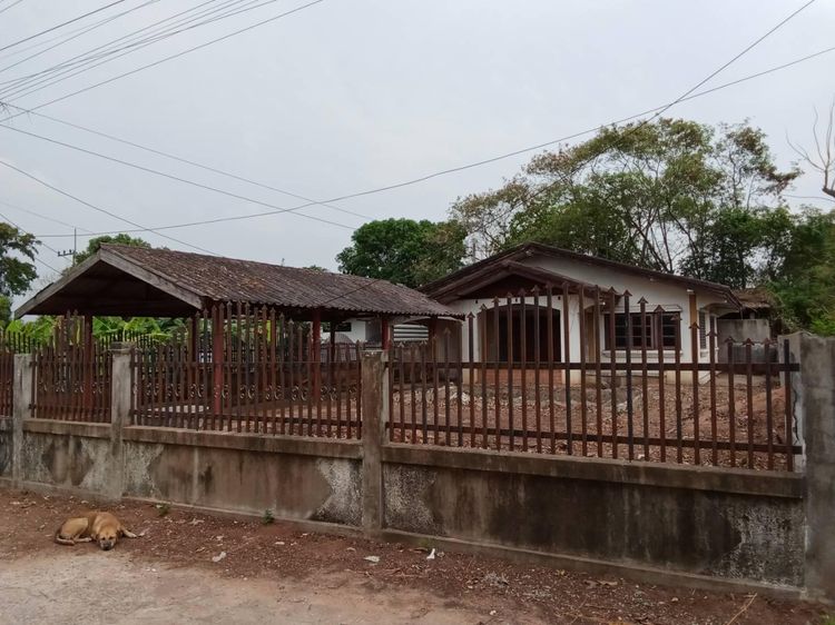 ใช่ 💖 บ้าน เมืองนครราชสีมา ราคาพิเศษ! 💖 รูปที่ 2