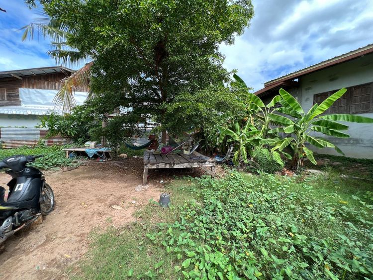 ใช่ 💖 บ้าน หนองบัว ราคาพิเศษ! 💖 รูปที่ 4