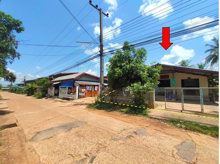 ใช่ 💖 บ้าน ตระการพืชผล ราคาพิเศษ! 💖 รูปที่ 3