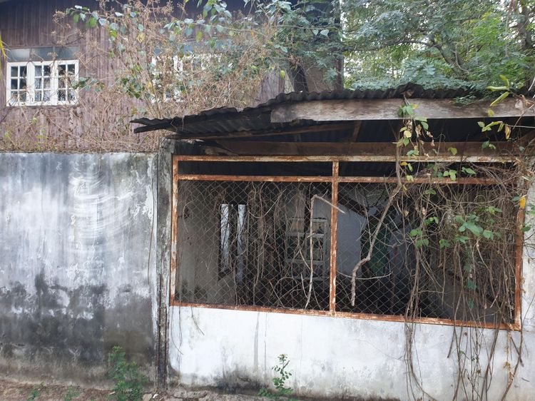 ใช่ 💖 บ้าน ม่วงสามสิบ ราคาพิเศษ! 💖 รูปที่ 4