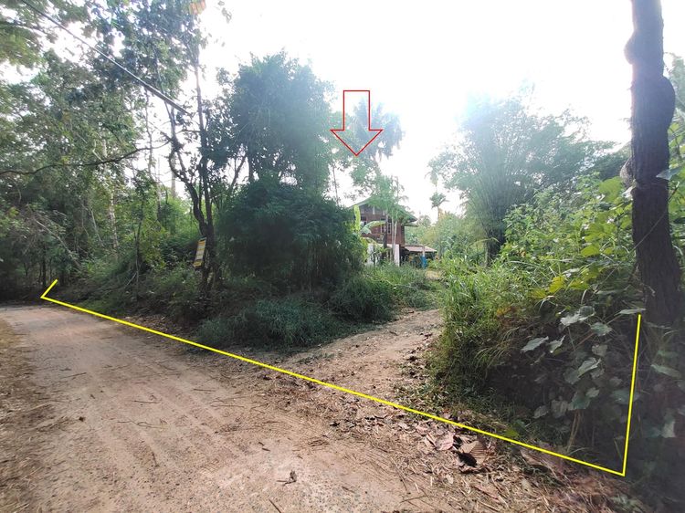 ใช่ 💖 บ้าน ศรีเมืองใหม่ ราคาพิเศษ! 💖 รูปที่ 3