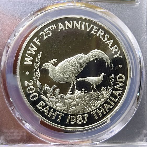 เหรียญเงินขัดเงา 200 บาท ที่ระลึกครบรอบ 25 ปี กองทุนคุ้มครองสัตว์ป่าโลก ไก่ฟ้า ปี 2530 เหรียญเกรด PR 69 DCAM PCGS ปี2530 รูปที่ 3