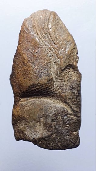 พระรอดพิมพ์ใหญ่7 รูปที่ 2